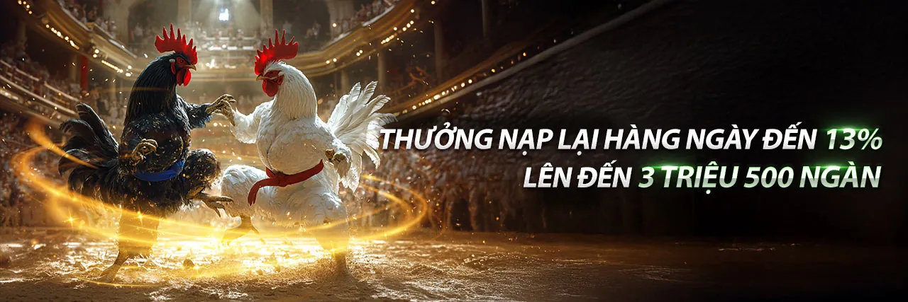 Sân vận động bóng đá với khán giả sôi động, biểu tượng cá cược thể thao MK88 chính thức