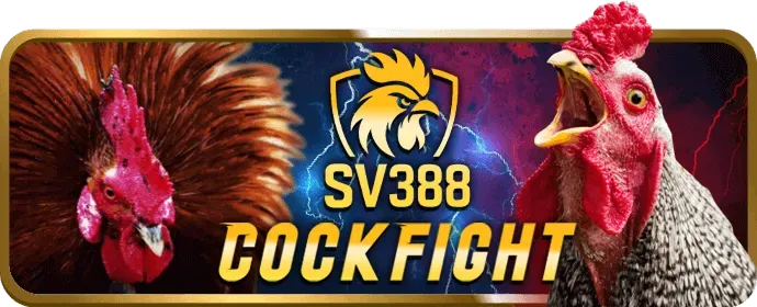 Khuyến mãi hàng ngày và hoàn trả MK88
